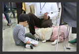 第4回ボランティアフェスティバル_盲導犬カフェ